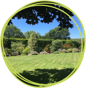 Rose Morran garden